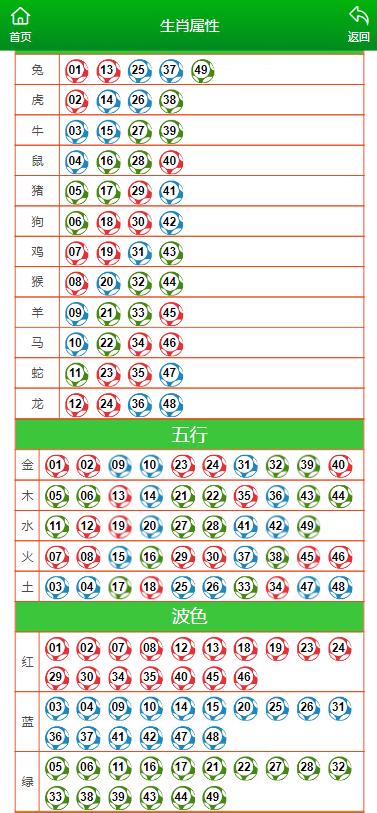 澳门6合生肖彩开奖时间,全面理解执行计划_网页款49.447