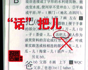 澳门三肖三码精准100%新华字典,理论解答解释定义_安卓79.208