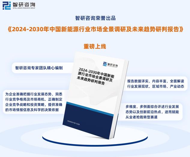 2024新奥官方正版资料免费，WZD802.89适中方案详解