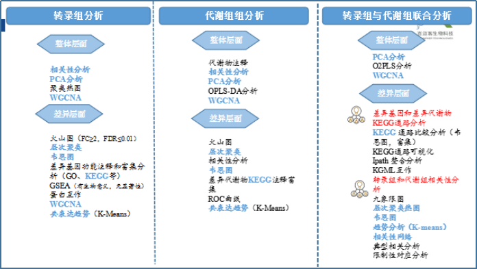 新奥精准特版MCT134.66户外分析评估概览