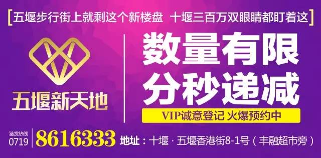 “2024香港免费正版资料大全，精准图库赏析 - 领航版RBG538.12”