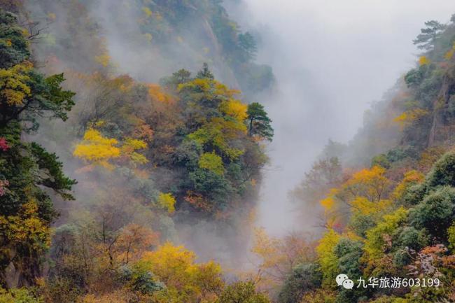 九华山新篇章揭秘，揭开神秘面纱的最新消息