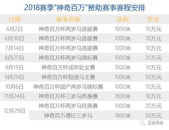 2024新澳开奖结果+开奖记录,新澳地区的彩票市场再次成为公众关注的焦点