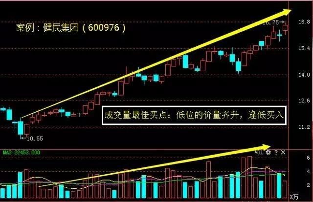 2020今晚开特马+开奖结果432888,在2020年的某个夜晚