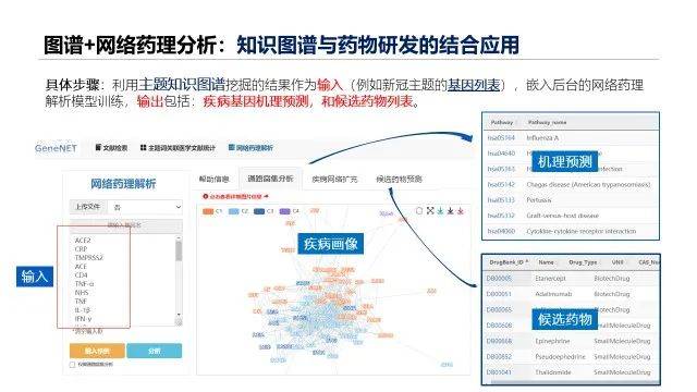 新澳精准资料免费提供510期：数据价值与应用深度解析