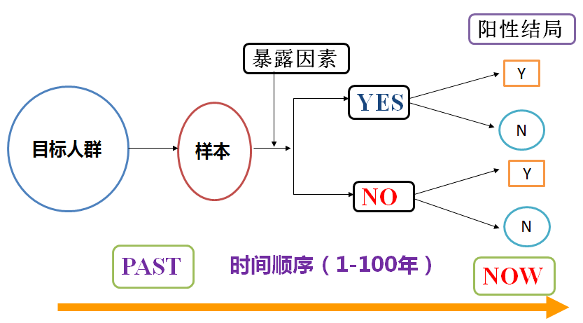 新澳门免费资料大全在线查看,如何高效利用新澳门免费资料大全在线查看