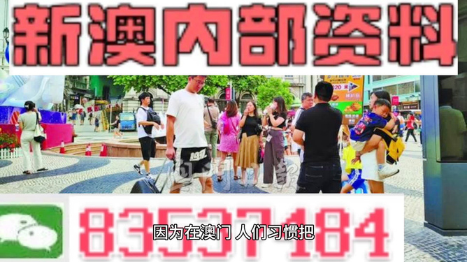 2024澳门精准正版免费大全,澳门都能满足每一位游客的需求