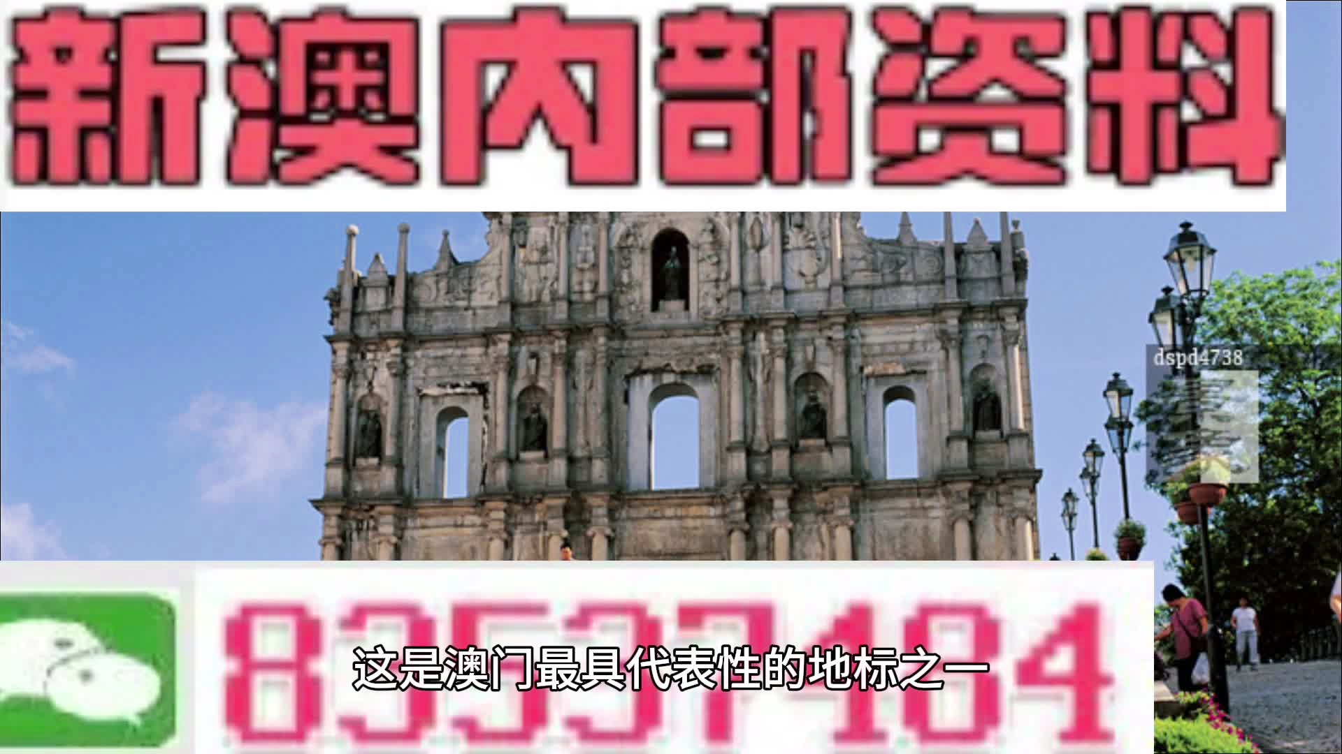 2024澳门历史记录查询,探索2024年澳门历史记录查询：揭秘澳门的过去与现在