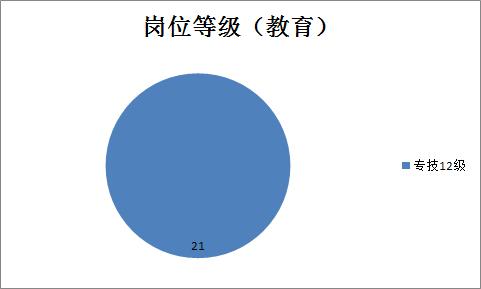 长寿区最新招聘动态揭秘，2017年招聘市场概览及前景展望