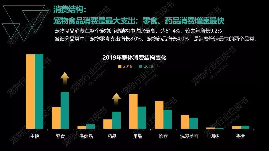 2024年天天彩免费资料,宠物师培训_智能版7.60