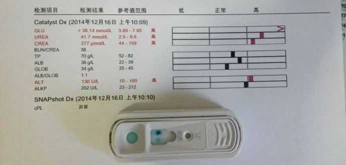 2024新澳正版免费资料,狗狗胰腺炎试纸_高配版3.90