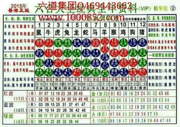 2024十二生肖49码表：数字与运势的神秘交织