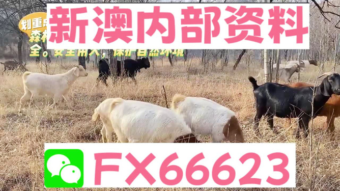 新澳2024年最新版资料,狗狗怎么驱虫_起步版8.71