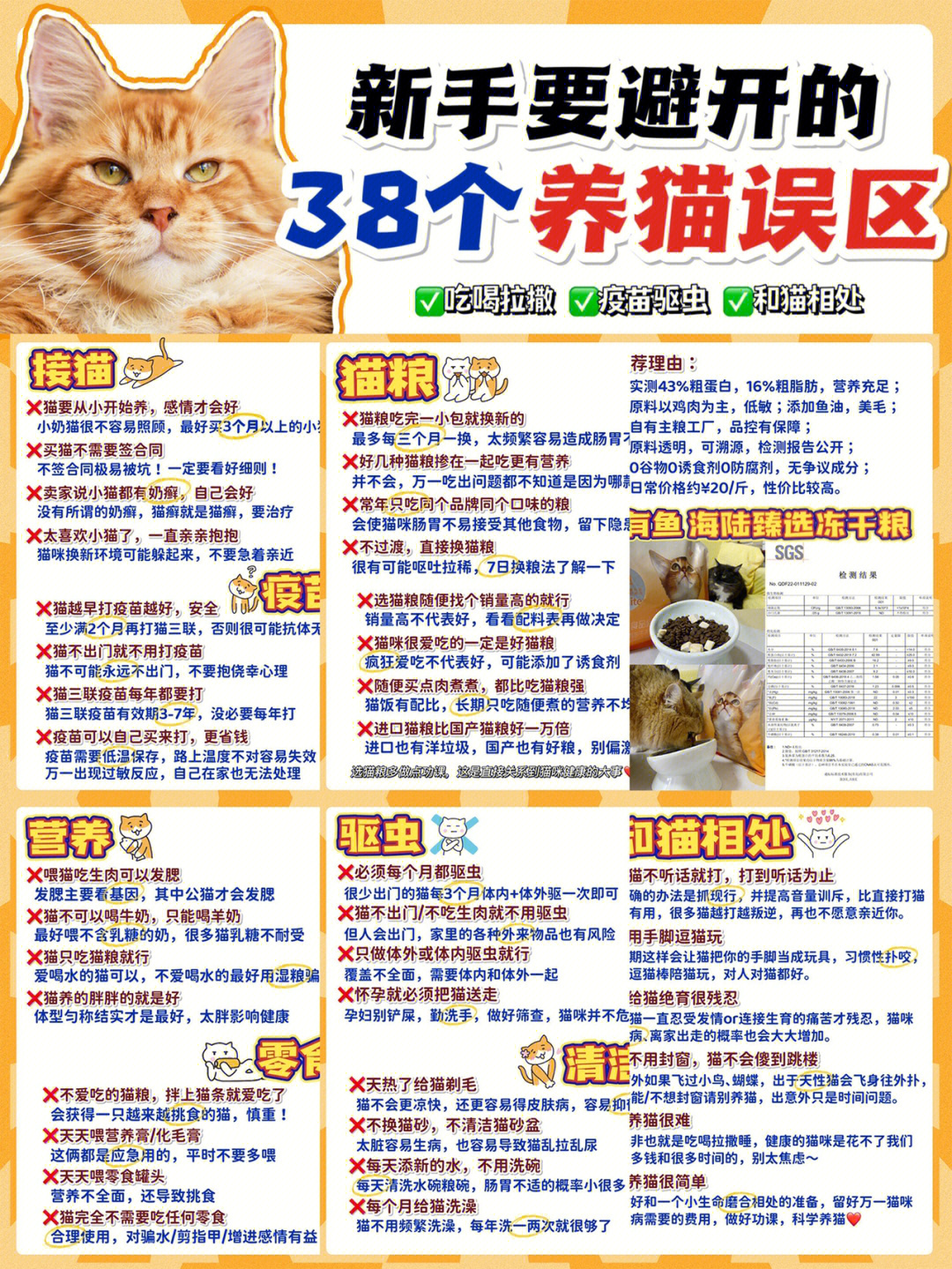 新澳今天最新免费资料,猫咪吃什么怎么才长胖_旗舰版4.57