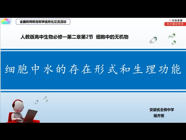 2024年正版资料免费大全功能介绍,专业研究解释定义_视频版43.355