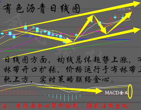 雷锋站长独家心水,深入分析定义策略_铂金版58.21