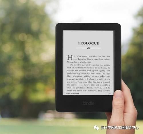 新澳姿料正版免费资料,数据资料解释落实_Kindle87.680