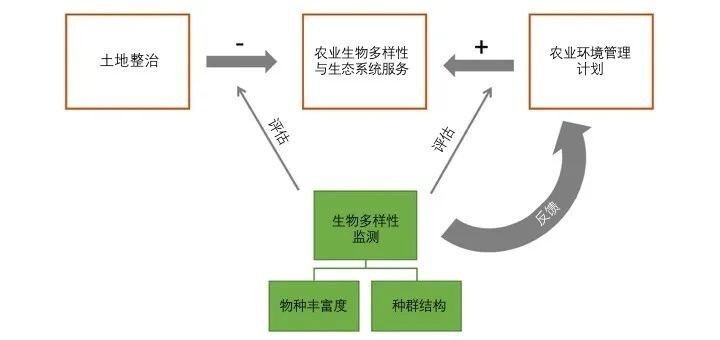 跑狗图993994高清跑狗图的安全性,完整机制评估_SHD55.205