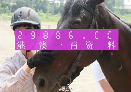 今晚澳门最准一肖一码,正确解答落实_超值版53.772