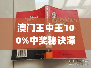 新澳门王中王100%期期中,实地验证设计解析_NE版86.422