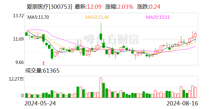 2024年澳门今晚开奖结果,实地执行分析数据_MP61.889