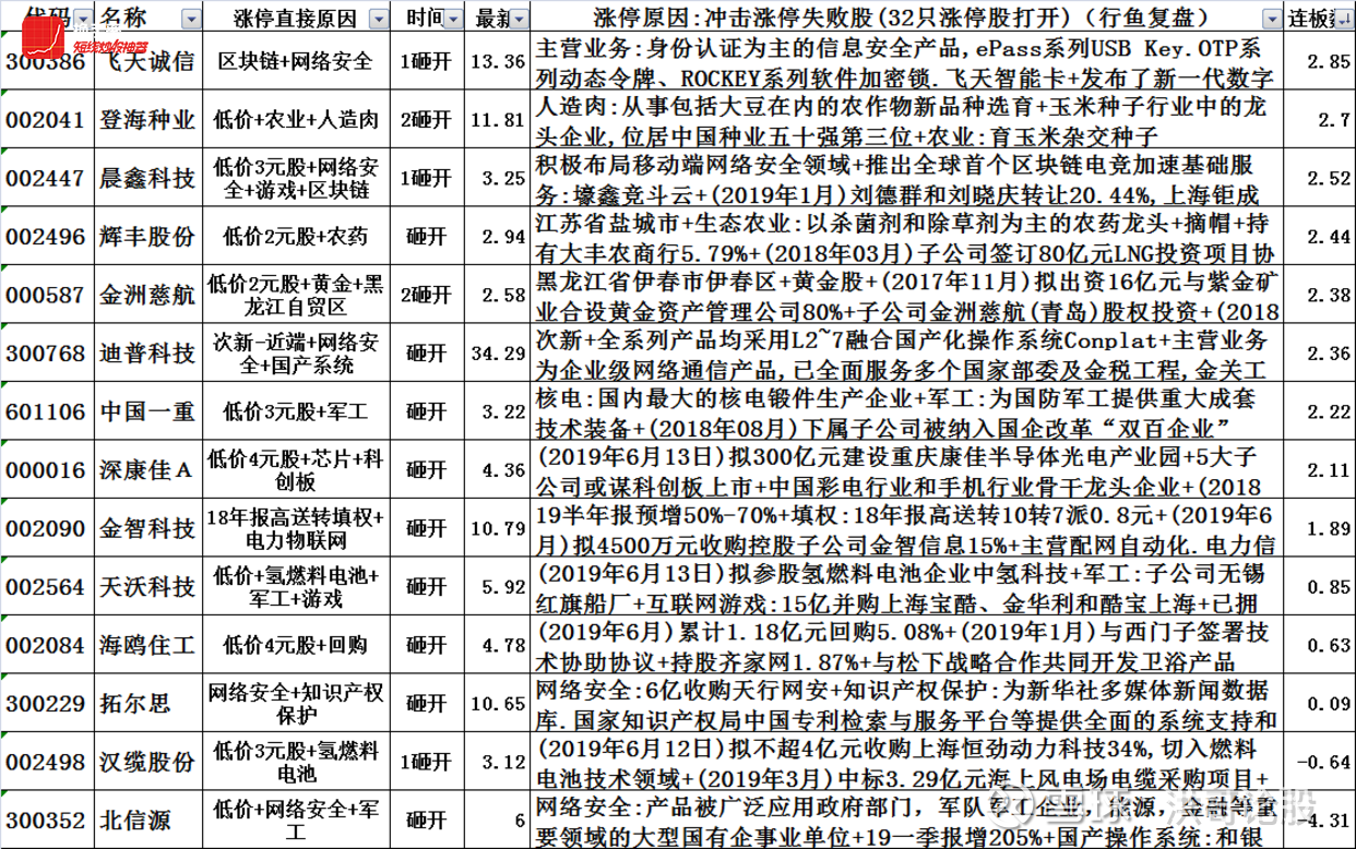 2024年12月5日 第13页