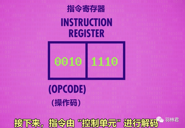 2024年12月6日 第81页