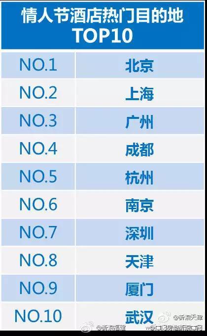 2024年12月8日 第13页