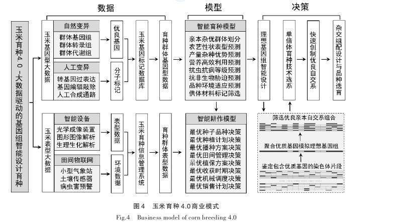 新奥门资料全年免费精准,数据设计驱动策略_Premium29.138