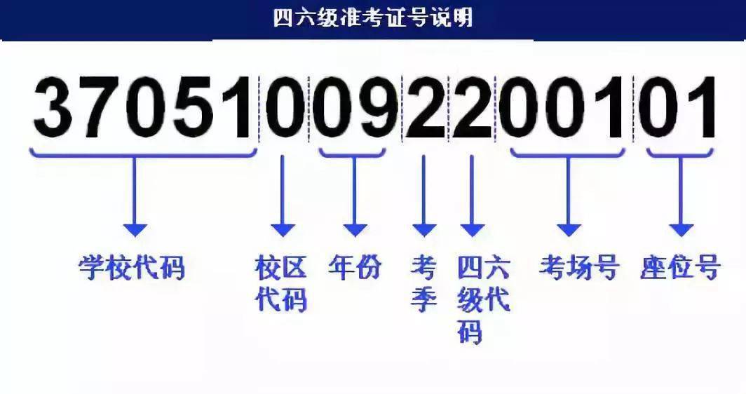 新澳门管家婆一句,快速设计问题策略_UHD款50.514