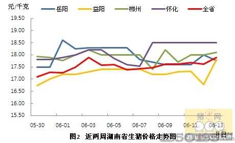 湖南最新猪肉价格行情分析