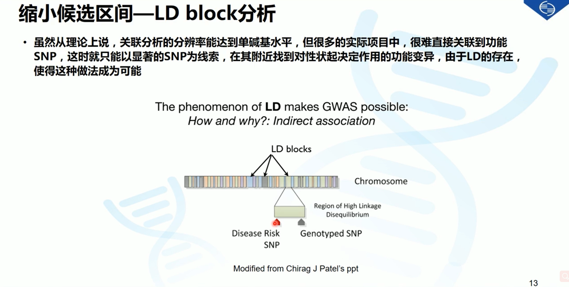 澳800图库,理论研究解析说明_SE版17.440