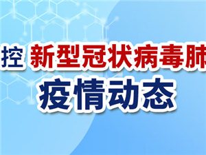 全球型肺炎疫情最新动态，防控形势与应对策略更新报告