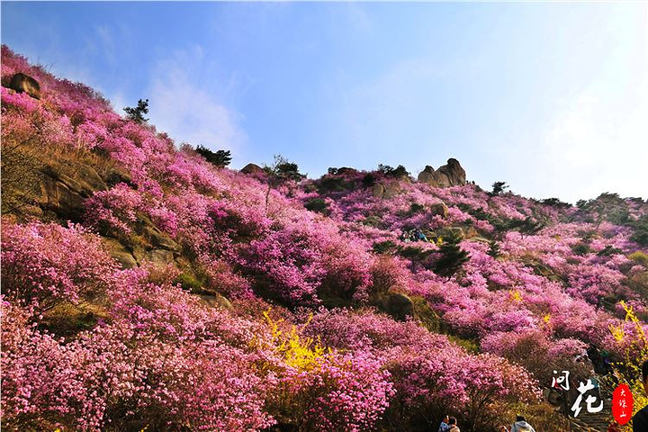 大珠山风景区最新旅游攻略