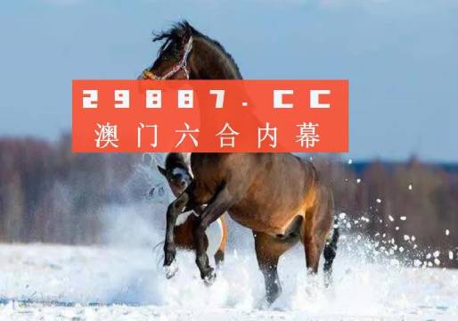 澳门今晚一肖必中特,实地验证策略数据_云端版46.665