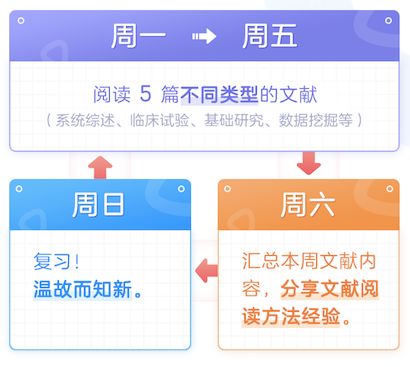 2024年管家婆的马资料,经典解释落实_限量版3.867