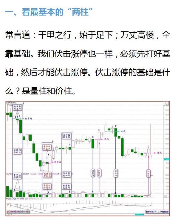 2024年12月15日 第39页