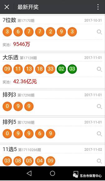 新澳天天彩免费资料大全查询,精细化定义探讨_界面版55.128