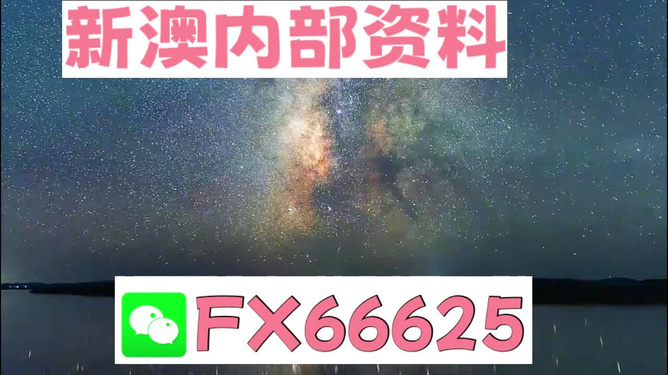 新澳天天彩免费资料49,动态词语解释落实_豪华版180.300