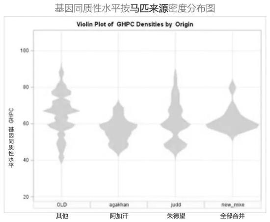 澳门马买马网站com,实证分析说明_战斗版20.376