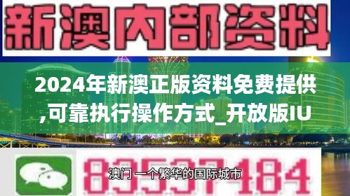 新澳2024年精准正版资料,稳定性策略设计_娱乐版37.481