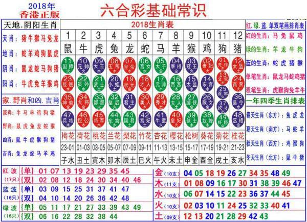 新澳门生肖卡表,理论解答解释定义_GM版81.95