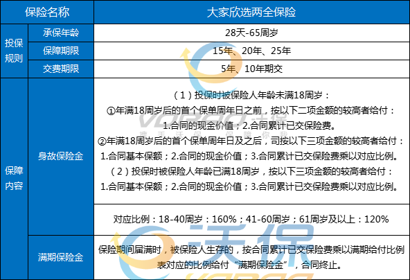 2024管家婆精准资料第三,收益说明解析_纪念版65.498