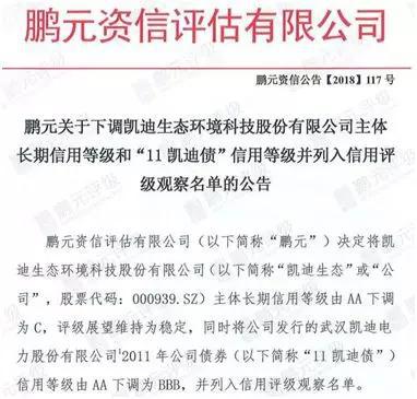 凯迪生态最新公告深度解读与分析