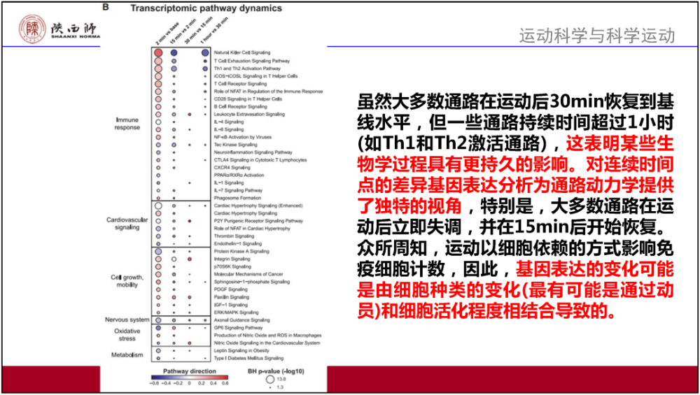 4949澳门最快开奖结果,决策资料解释落实_LE版24.767