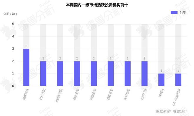 数据港最新动态，引领数字化转型的新航标风向标