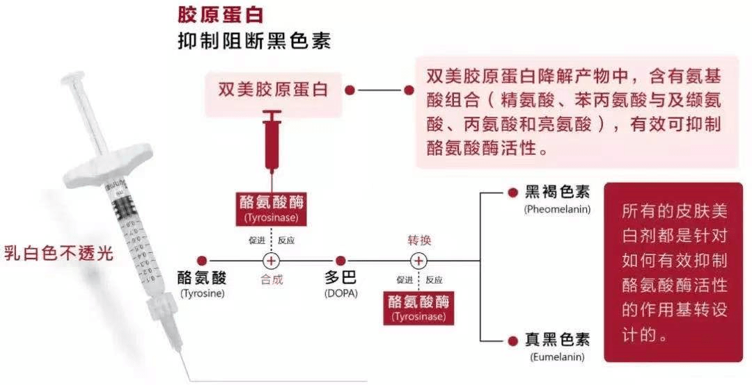 7777788888王中王传真,整体讲解规划_OP87.197