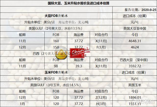 进口豆最新价格动态解析