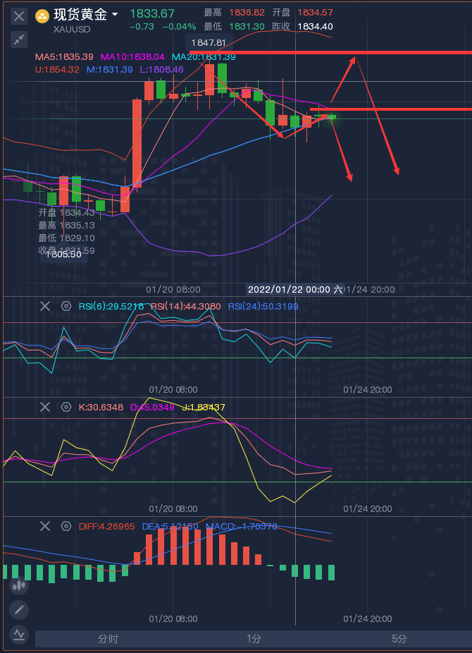 新澳天天开奖资料大全103期,高速响应策略解析_黄金版19.387