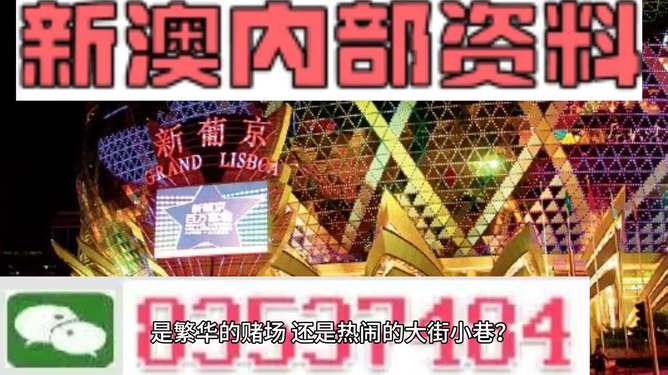 新澳精准资料免费提供,效率资料解释落实_钻石版78.733